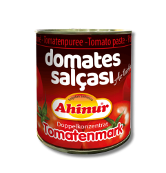 AHINUR CONCENTRE DE TOMATES BOITE 12X800GR