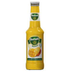 BURSALI MANGUE MINERALLE 24X250CC
