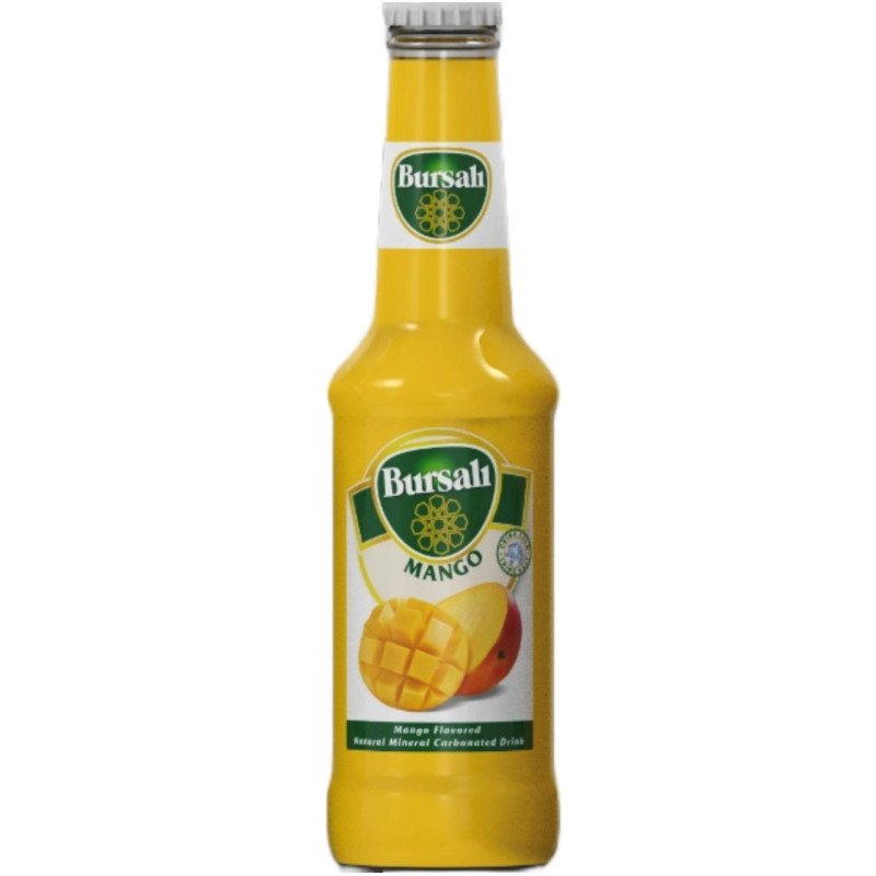 BURSALI MANGUE MINERALLE 24X250CC