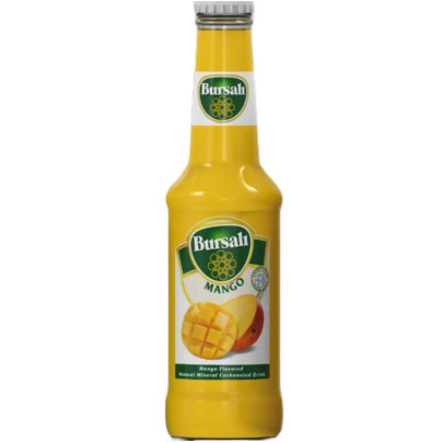 BURSALI MANGUE MINERALLE 24X250CC