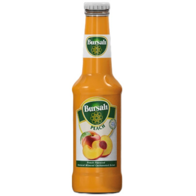 BURSALI PECHE MINERALLE 24X250CC