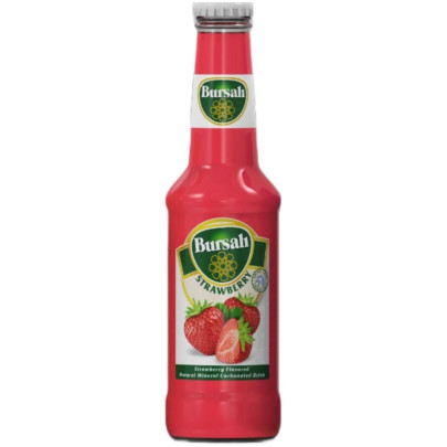 BURSALI FRAISE MINERALLE 24X250CC