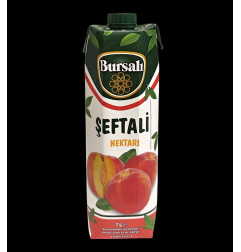 BURSALI JUS DE PECHE 12X1L