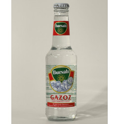 BURSALI GAZOZ 24X250CC