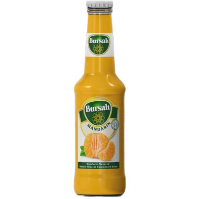 BURSALI MANDARINE MINERALLE 24X250CC