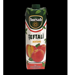 BURSALI JUS DE PECHE 12X1L